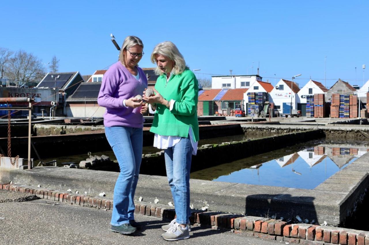 Wolphaartsdijk Huis Met Een Uitzicht Экстерьер фото